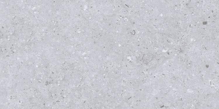 Rockberry Gris  300х600