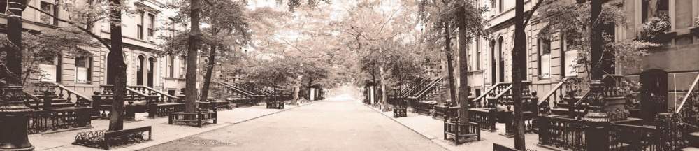 Панель стеновая  ABF 16  Матовая Улица сепия 2800*600*6мм