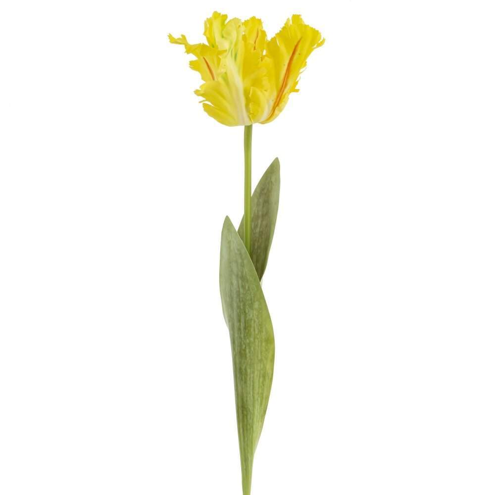 REMECO COLLECTION Цветок 817306 искусственный Тюльпан (Real Touch) 8х8х69см