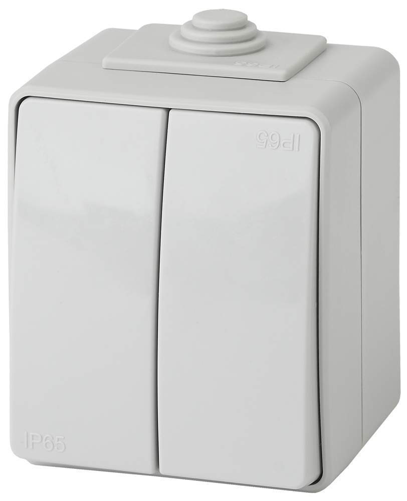 Выключатель ЭРА двойной IP65 10АХ-250В ОУ Эра Эксперт 11-1604-03 серый