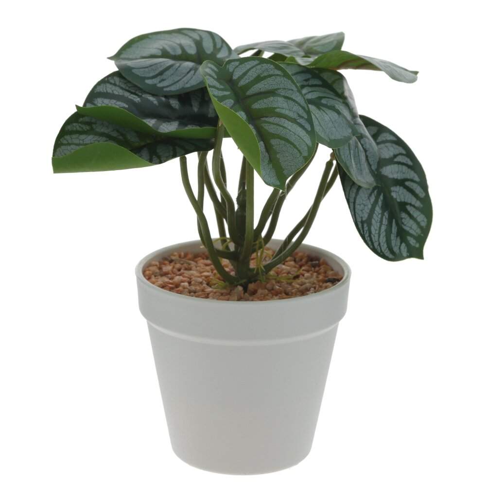 REMECO COLLECTION Композиция цветочная 797770 15х15х22см