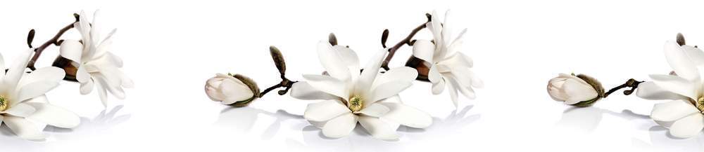 Панель стеновая  SP184   2800*610*6мм