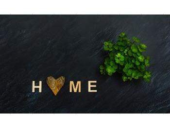 Коврик придверный  50х80 ПВХ "Home с клевером" 