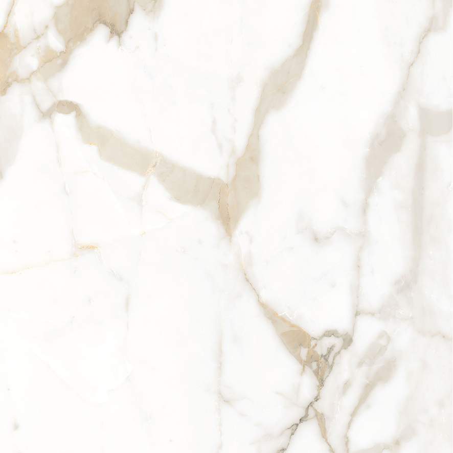 Calacatta Superior Керамогранит белый 600х600 Полированный