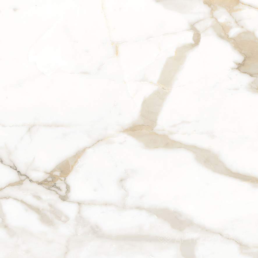 Calacatta Superior Керамогранит белый 600х600 Матовый