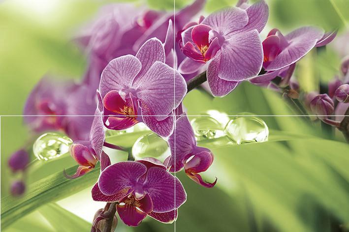 Thailand P4D235  Панно из 4-х плиток  400х600