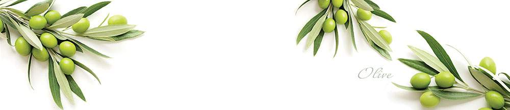 Панель стеновая  SP181  Олива на белом фоне  2800*600*6мм