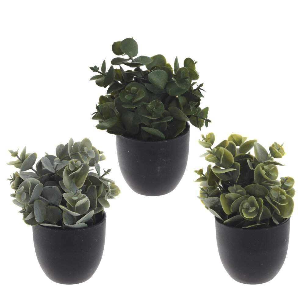 REMECO COLLECTION Композиция цветочная 797768 8х8х14см